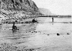 Low-tide-on-the-beach-at-Rock-a-Nore-.-1903.